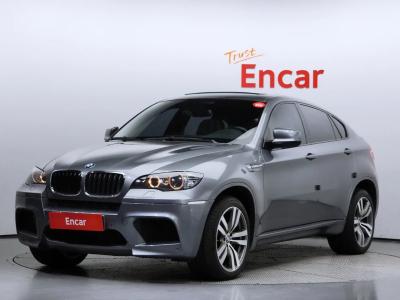 2010 BMW X6M