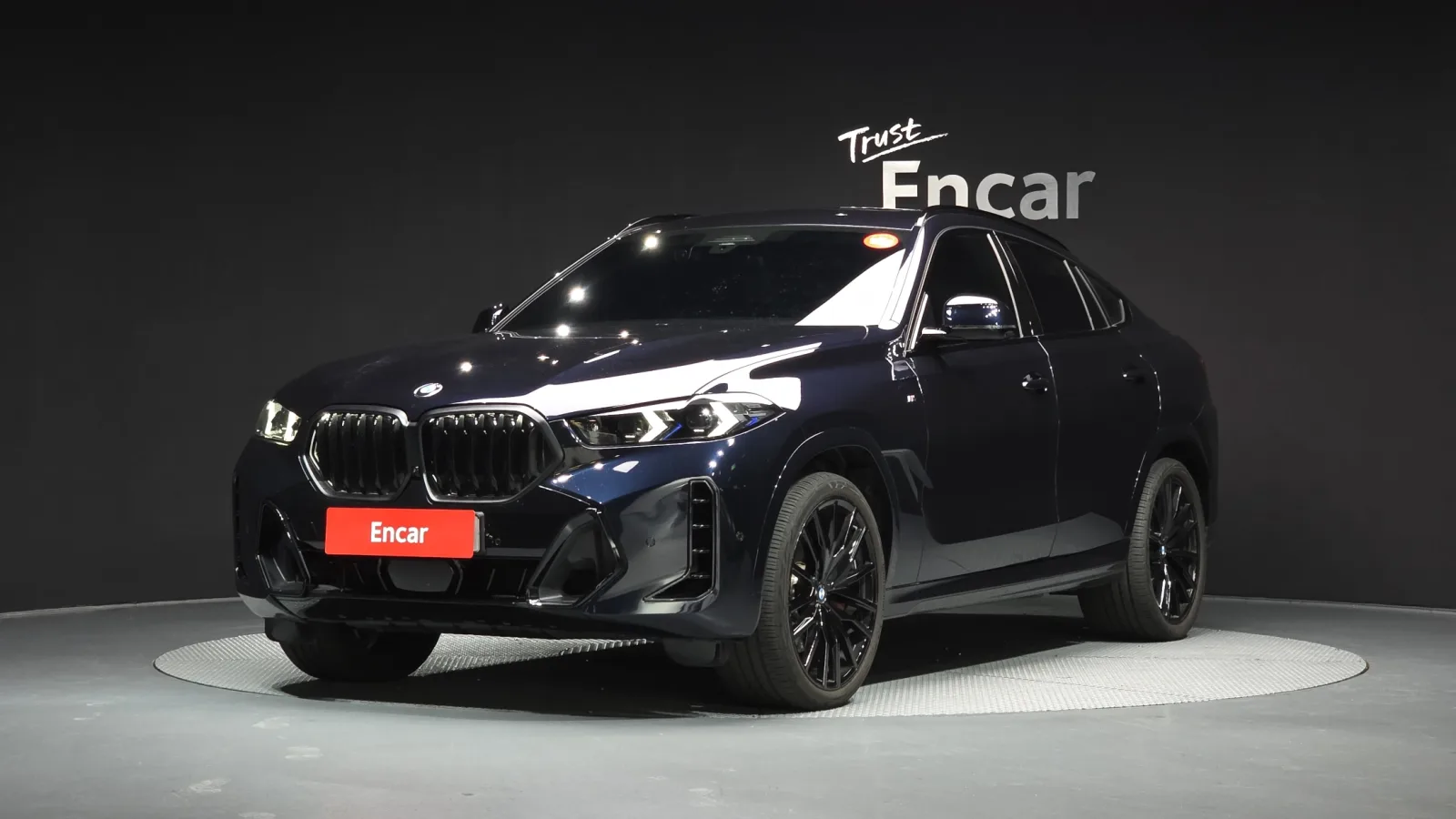 2025 BMW X6