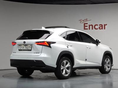 2017 Lexus NX