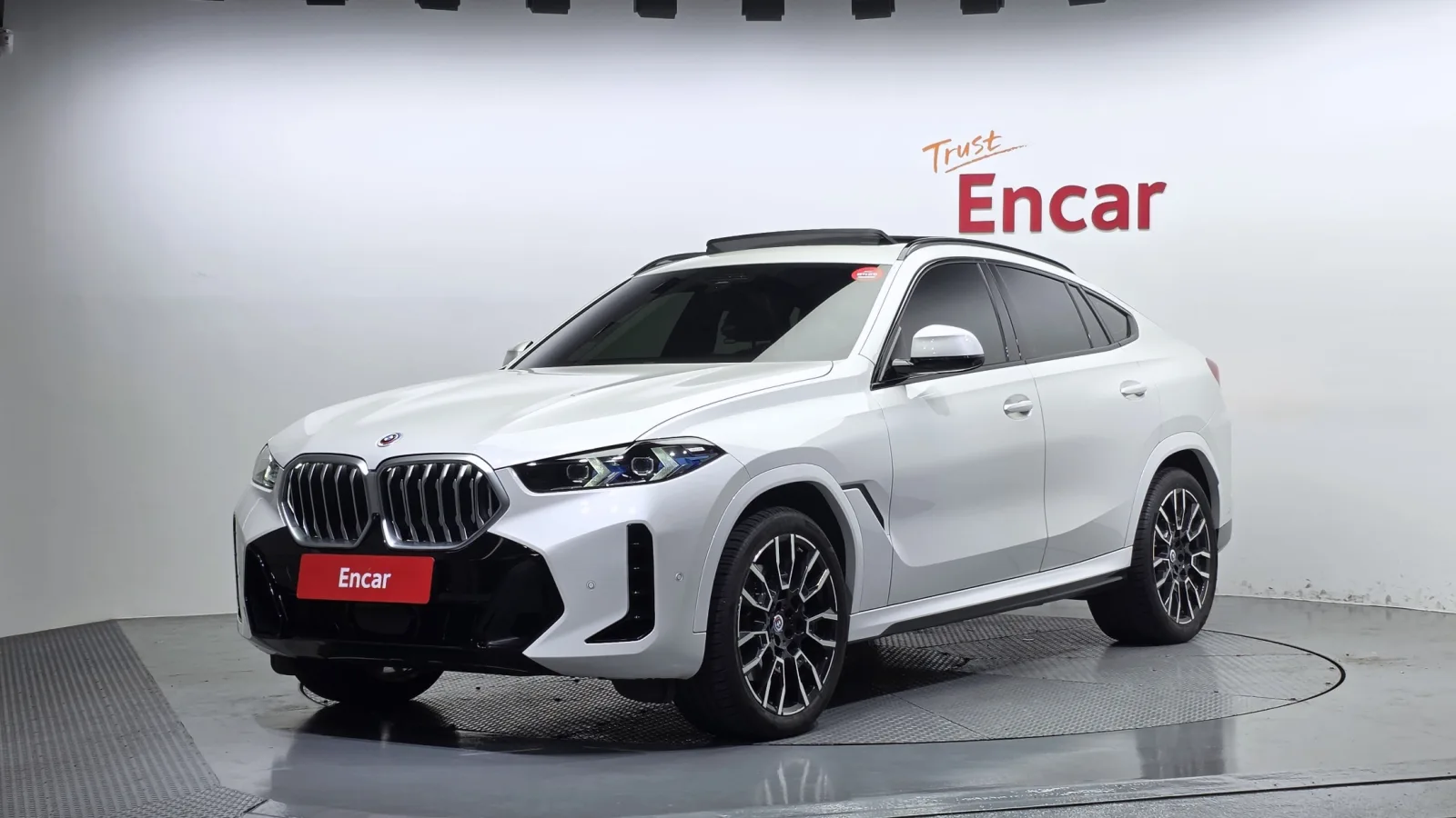 2024 BMW X6