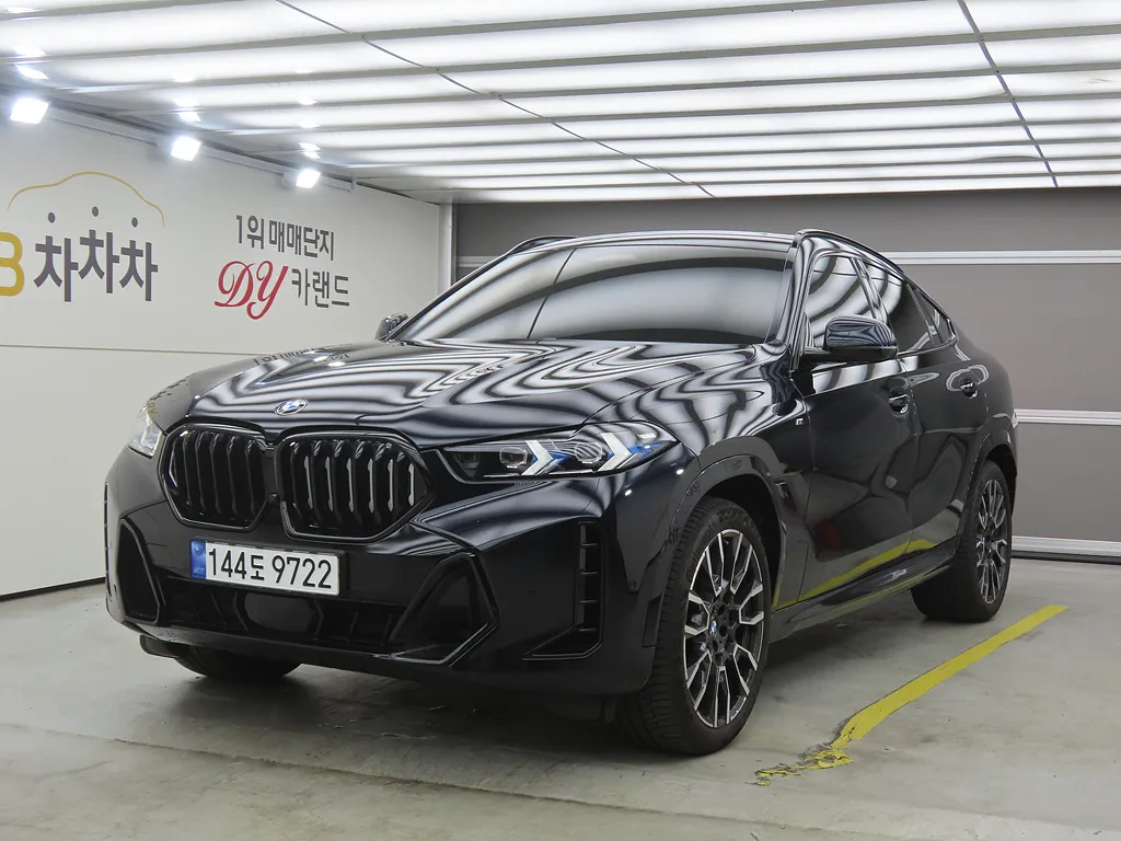 2024 BMW X6
