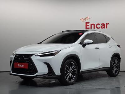 2026 Lexus NX