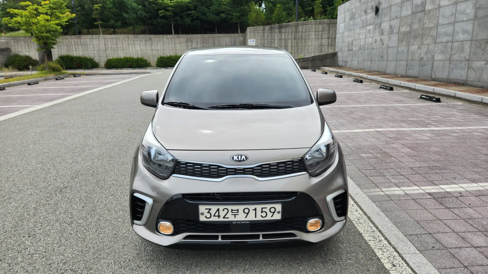 2019 Kia Picanto
