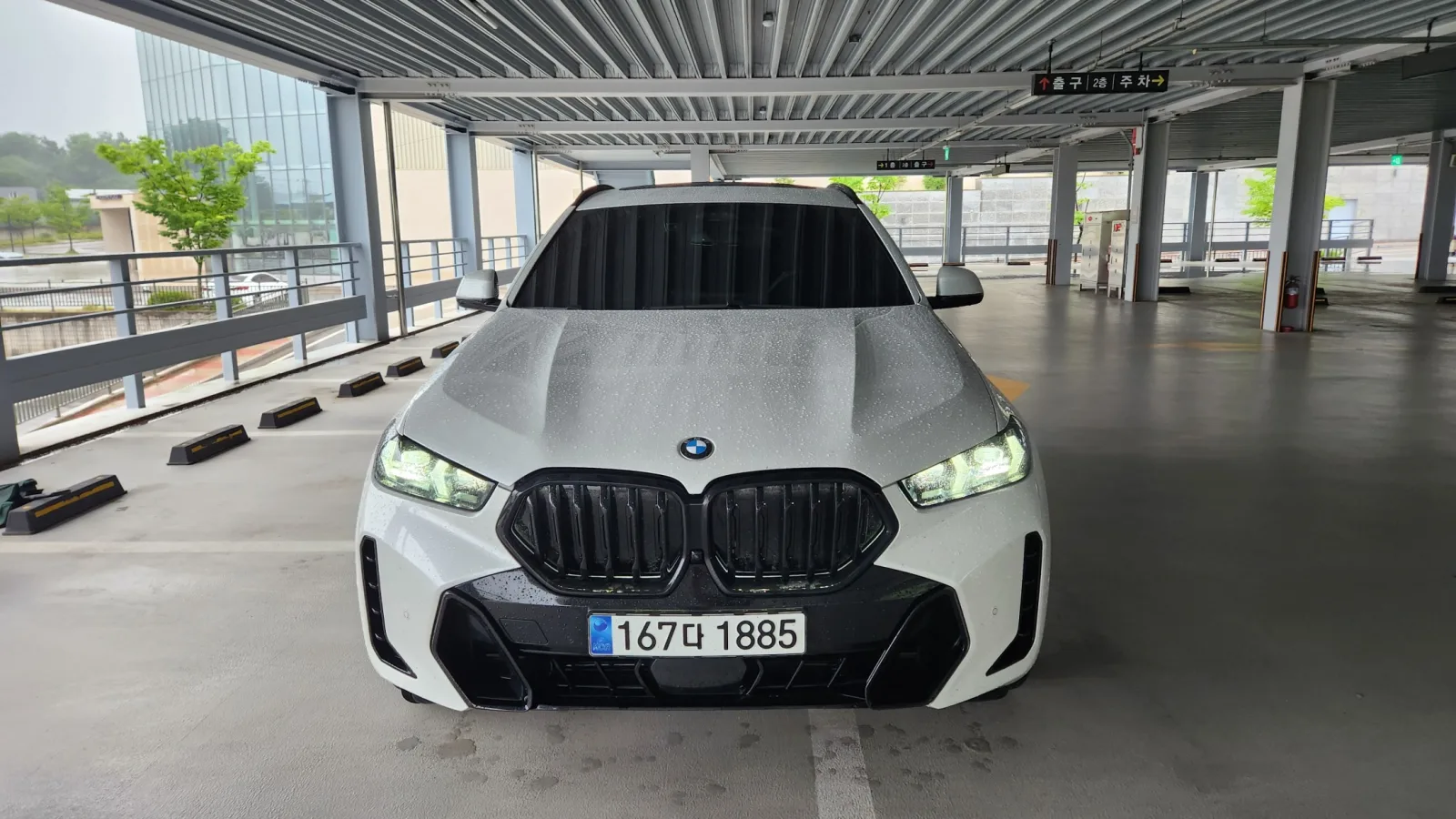 2024 BMW X6