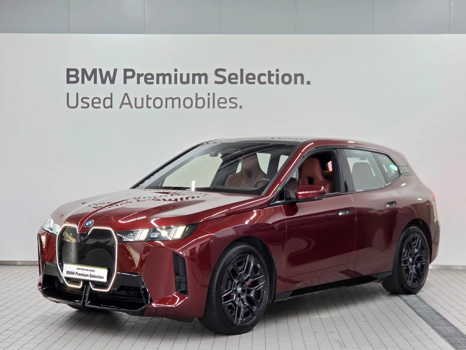 2026 BMW iX