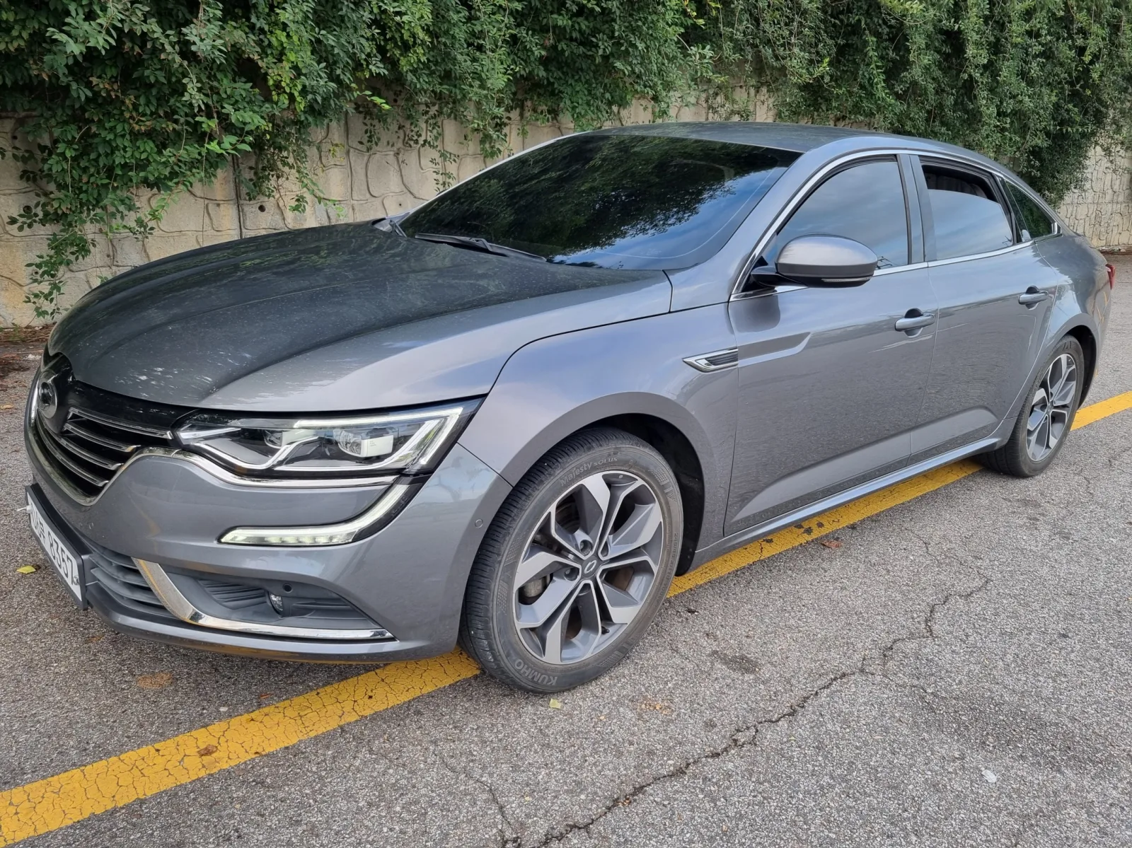 2019 Renault Korea SM6
