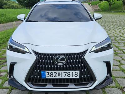 2026 Lexus NX
