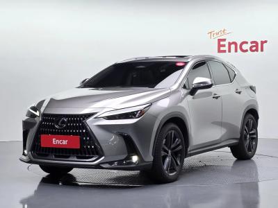 2024 Lexus NX