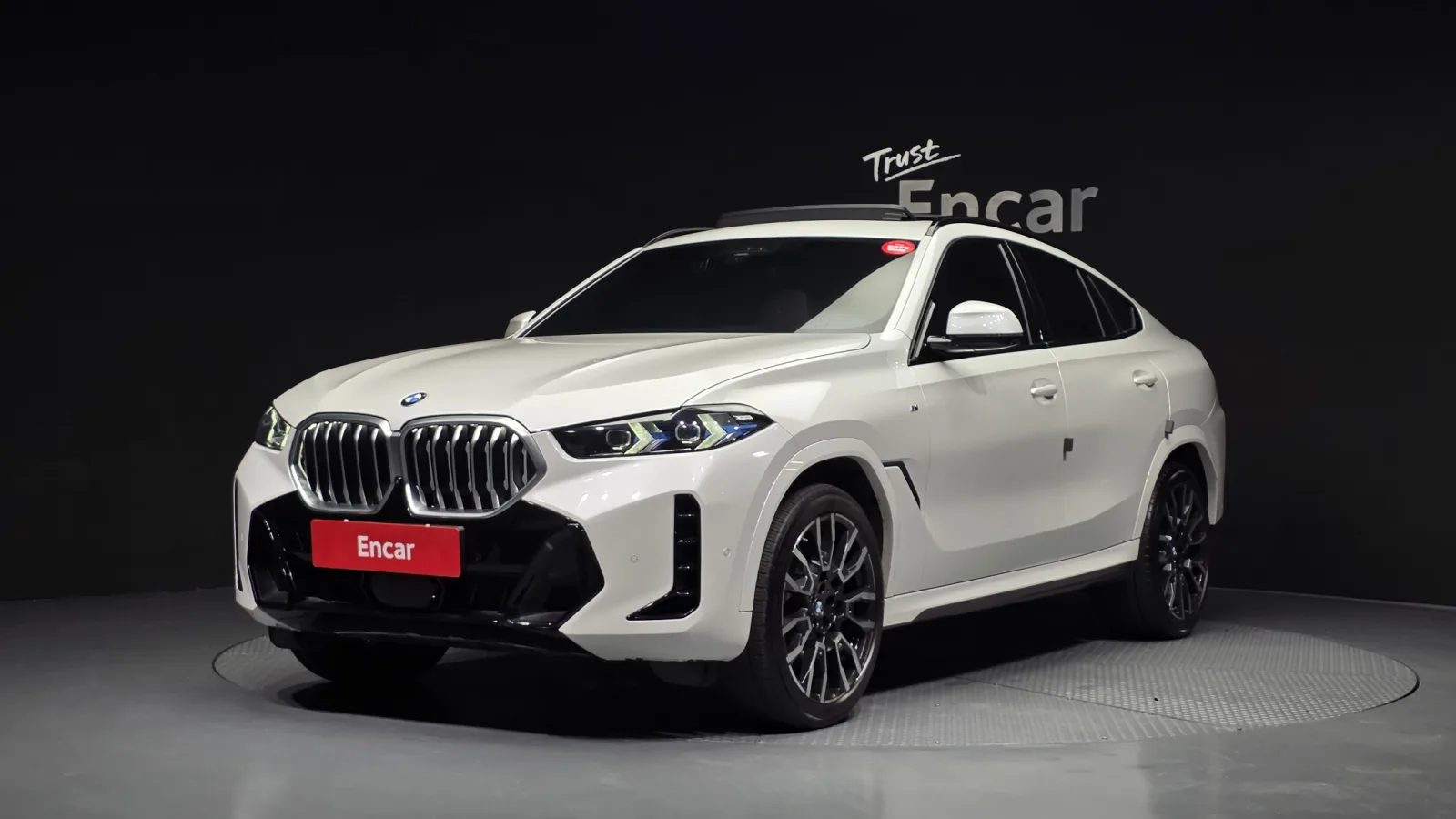 2024 BMW X6