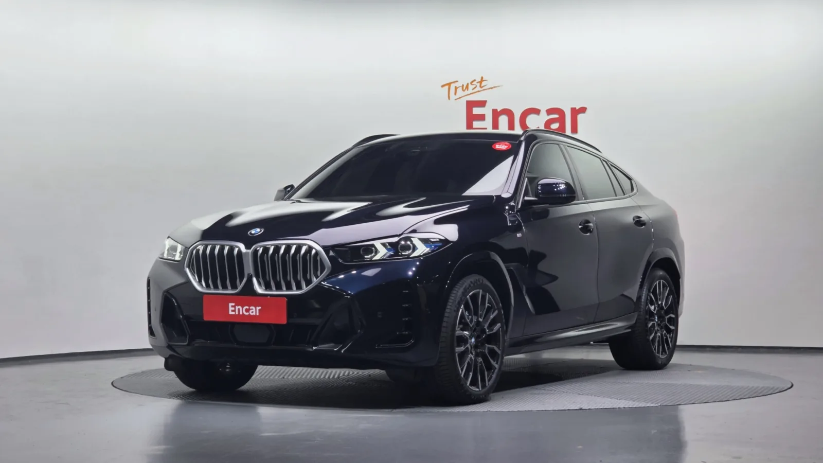 2025 BMW X6