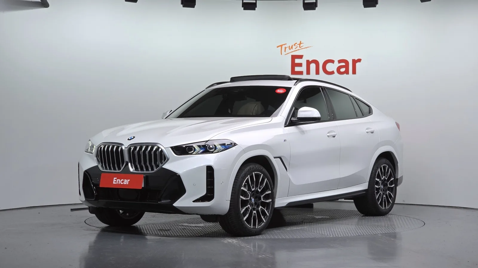2025 BMW X6
