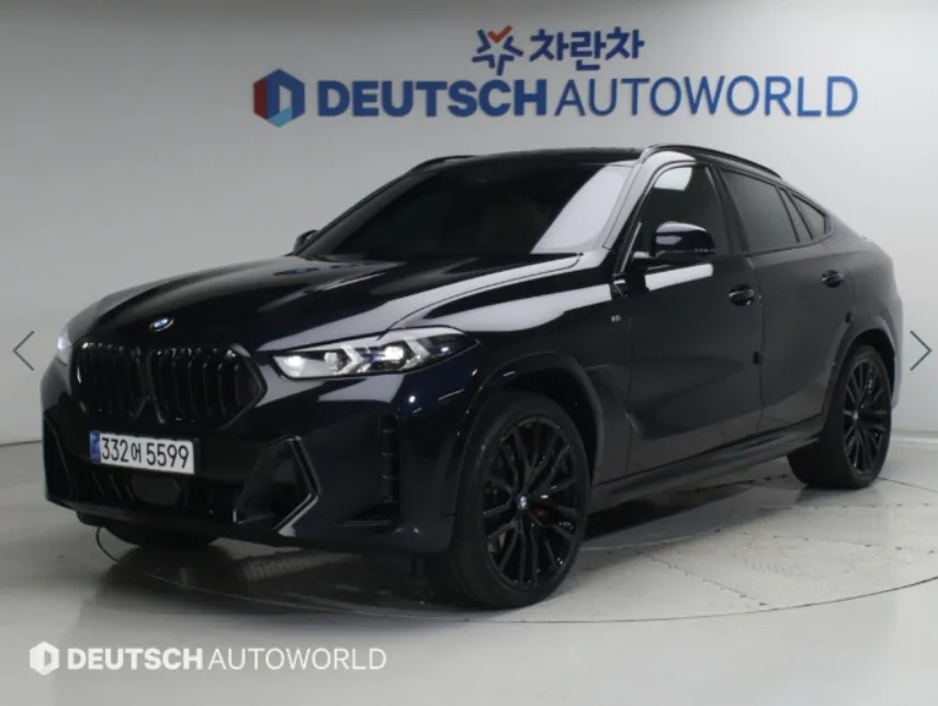 2025 BMW X6