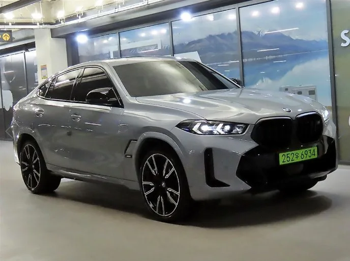 2024 BMW X6