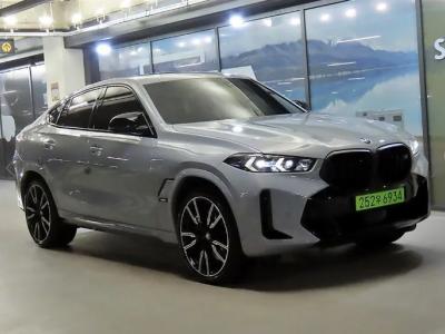 2024 BMW X6