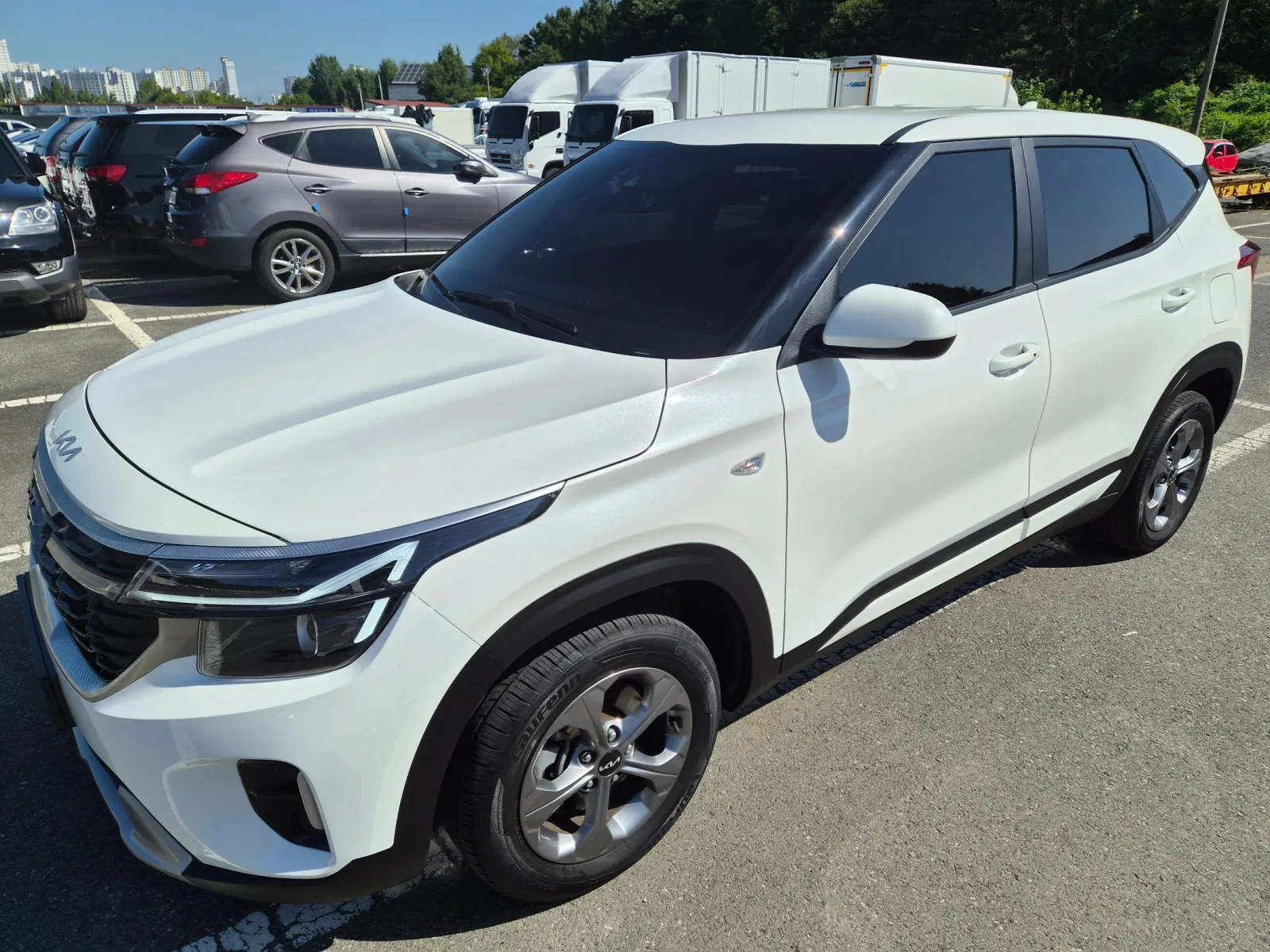 2024 Kia Seltos