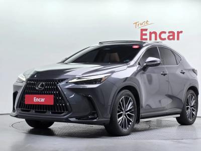 2024 Lexus NX