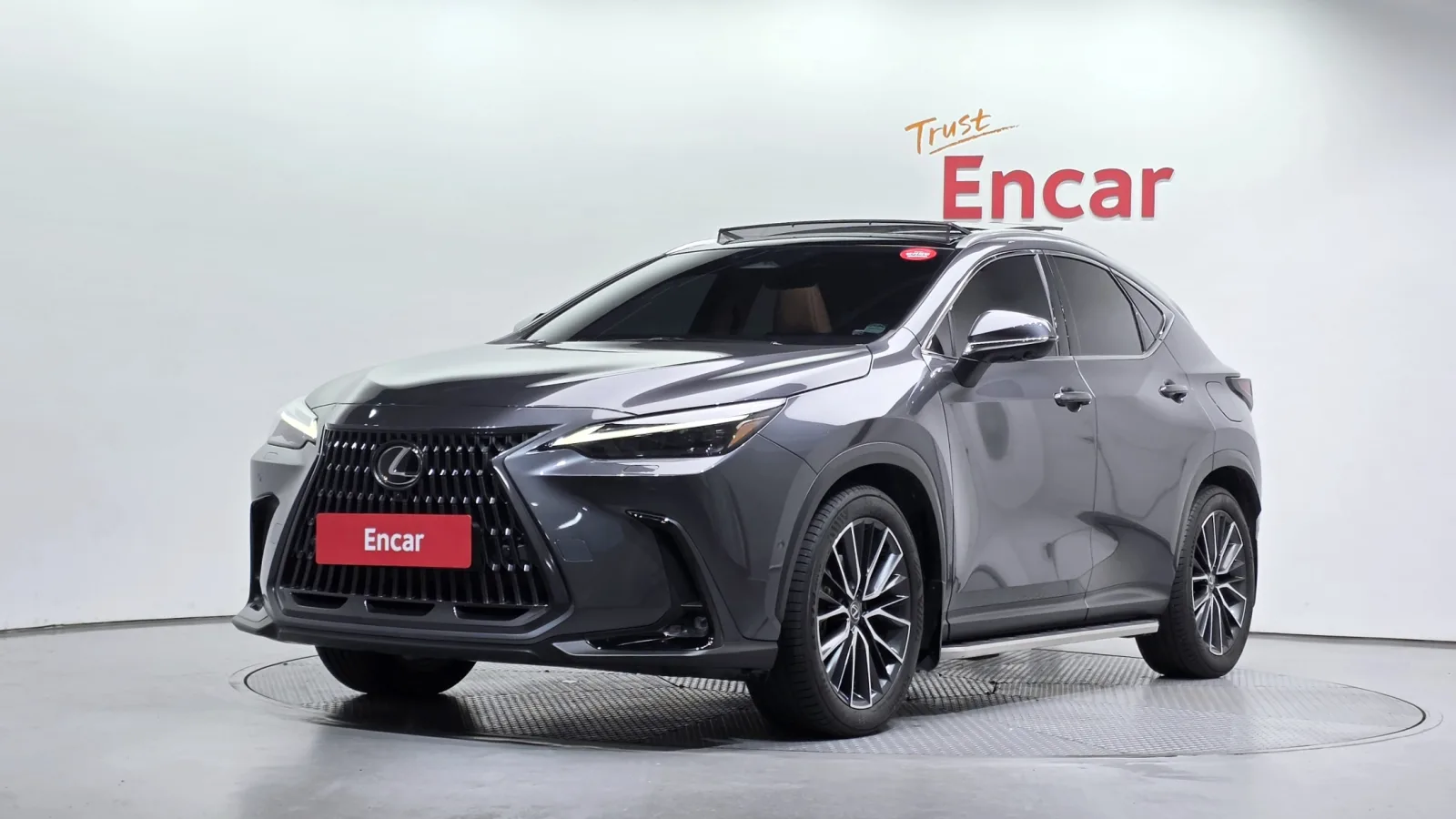 2024 Lexus NX
