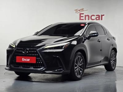 2024 Lexus NX