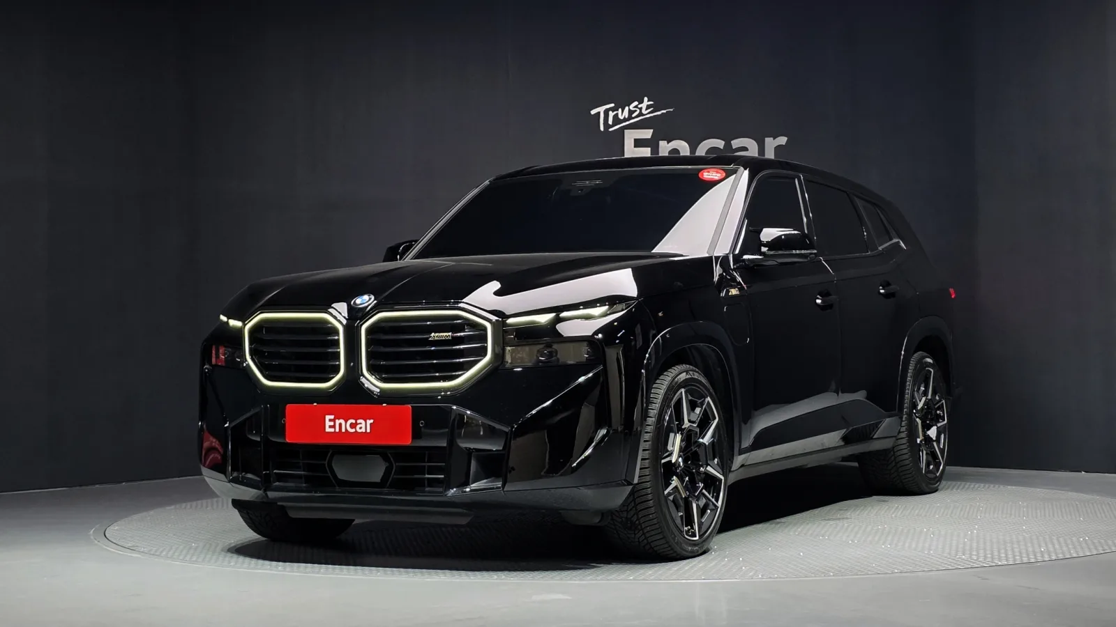 2025 BMW XM