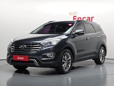 2014 Hyundai Maxcruz