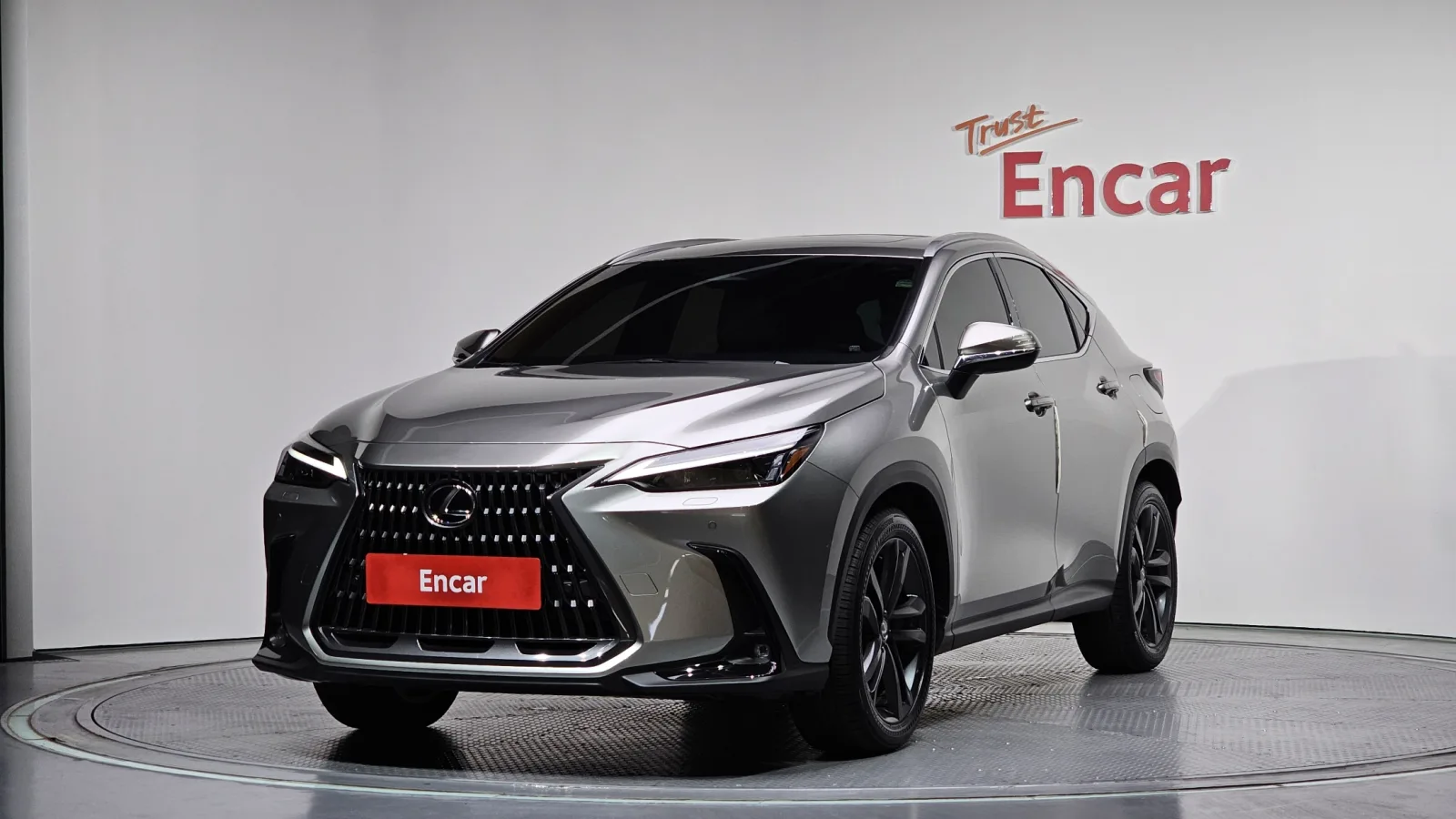 2025 Lexus NX