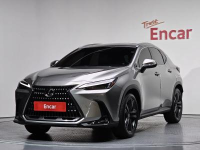 2025 Lexus NX