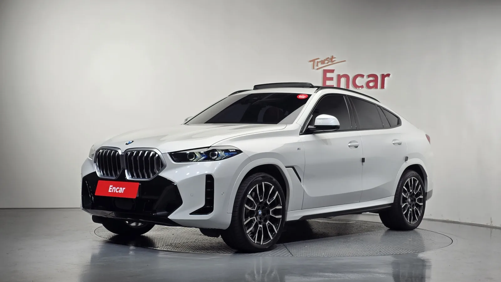 2025 BMW X6