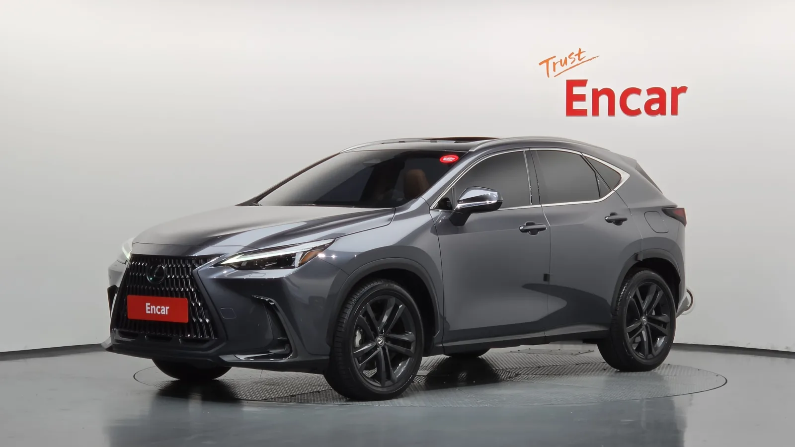 2024 Lexus NX
