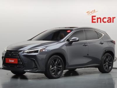 2024 Lexus NX