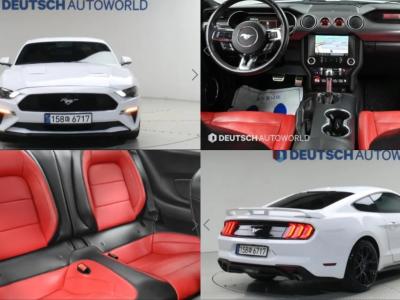 2019 Ford Mustang