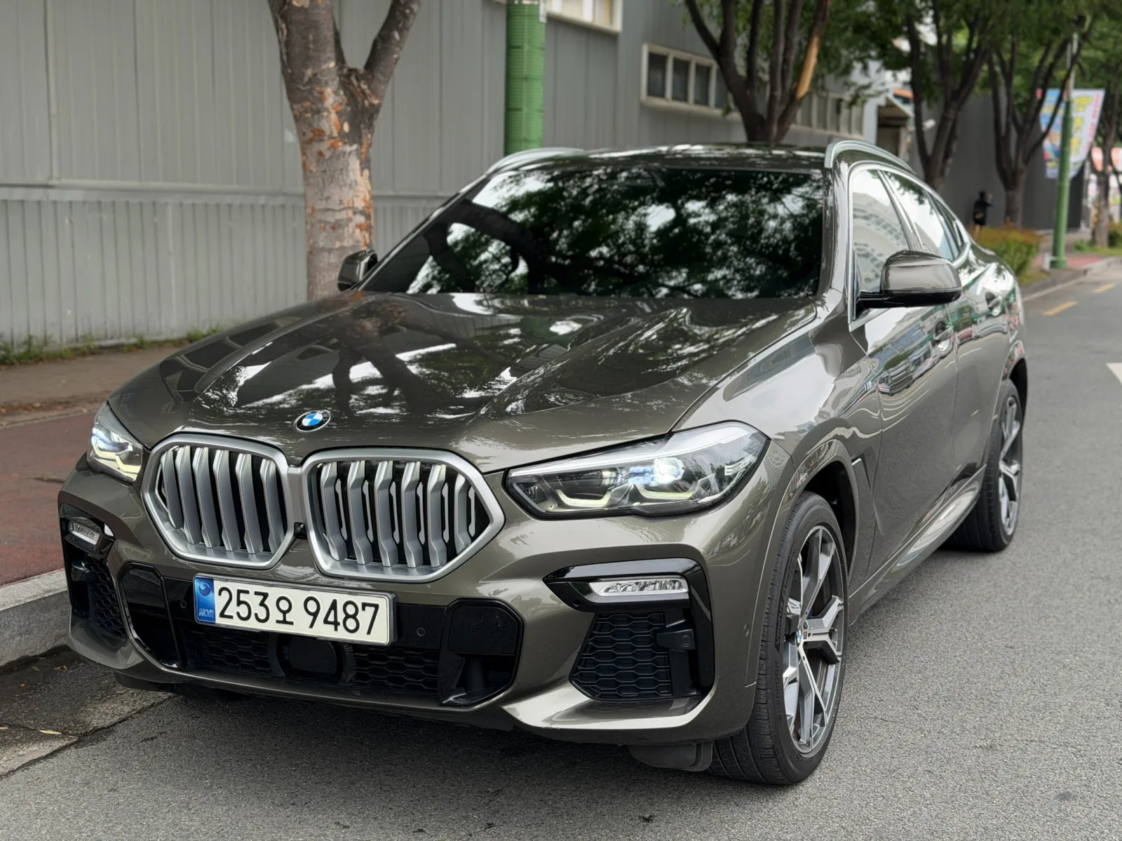 2021 BMW X6