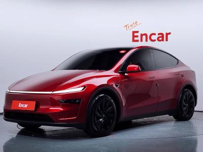 2025 Tesla Model Y