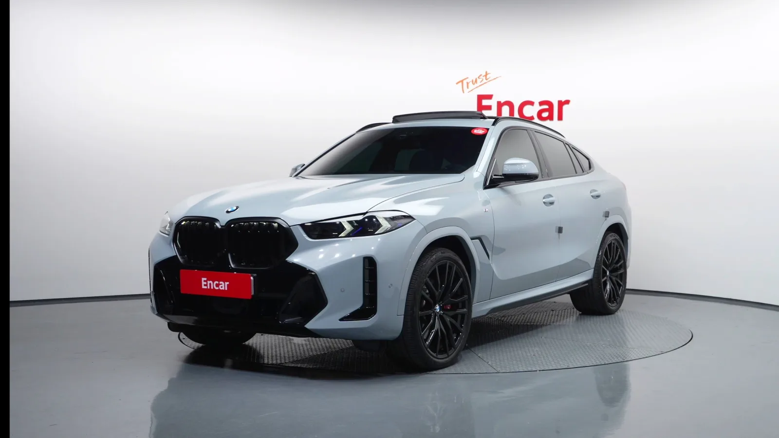 2025 BMW X6