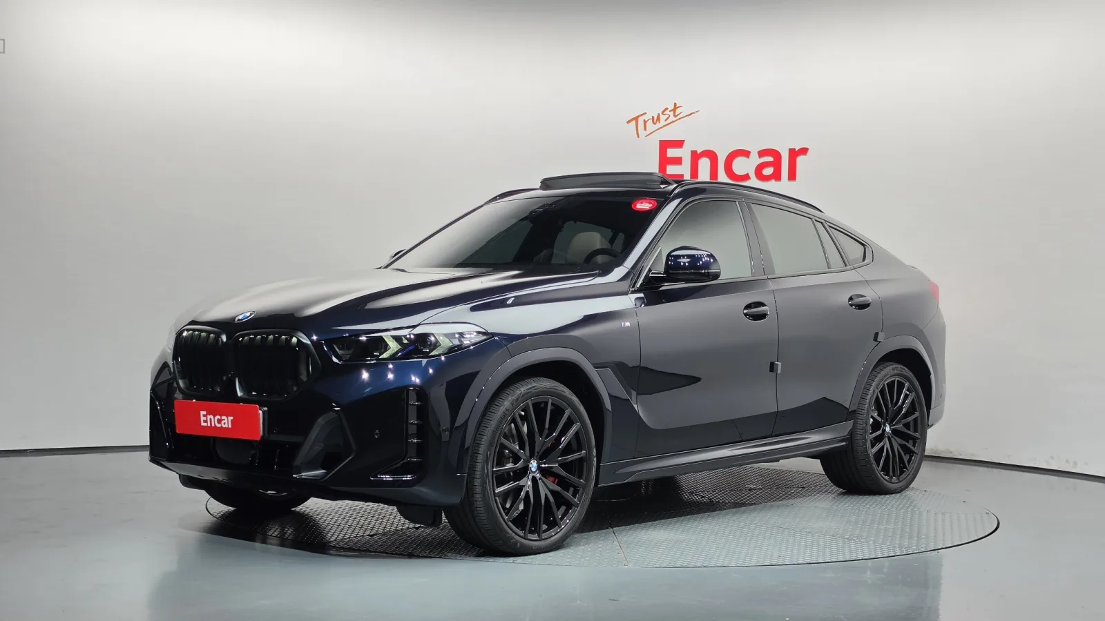 2025 BMW X6