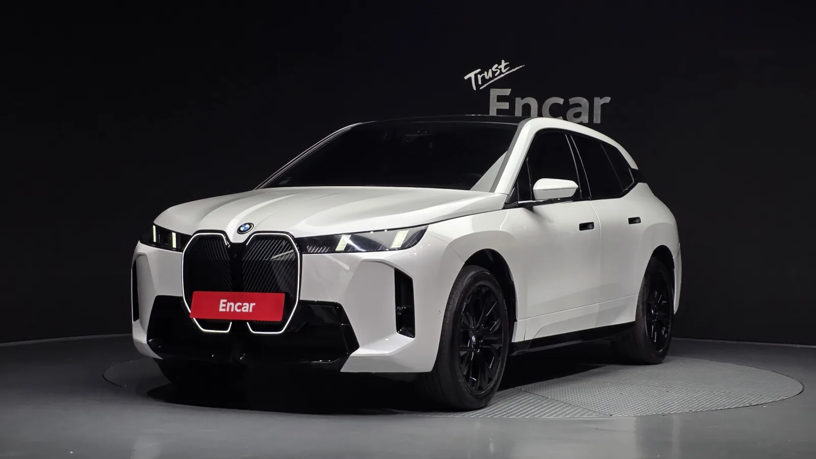 2026 BMW iX
