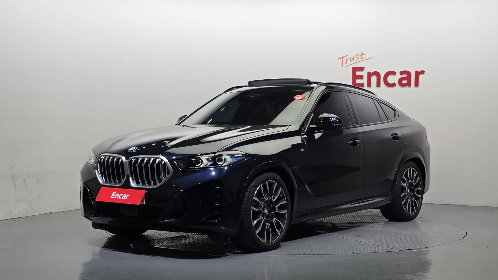 2024 BMW X6