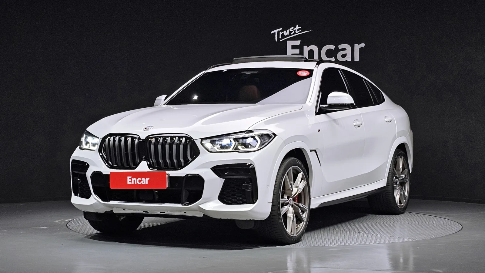 2023 BMW X6