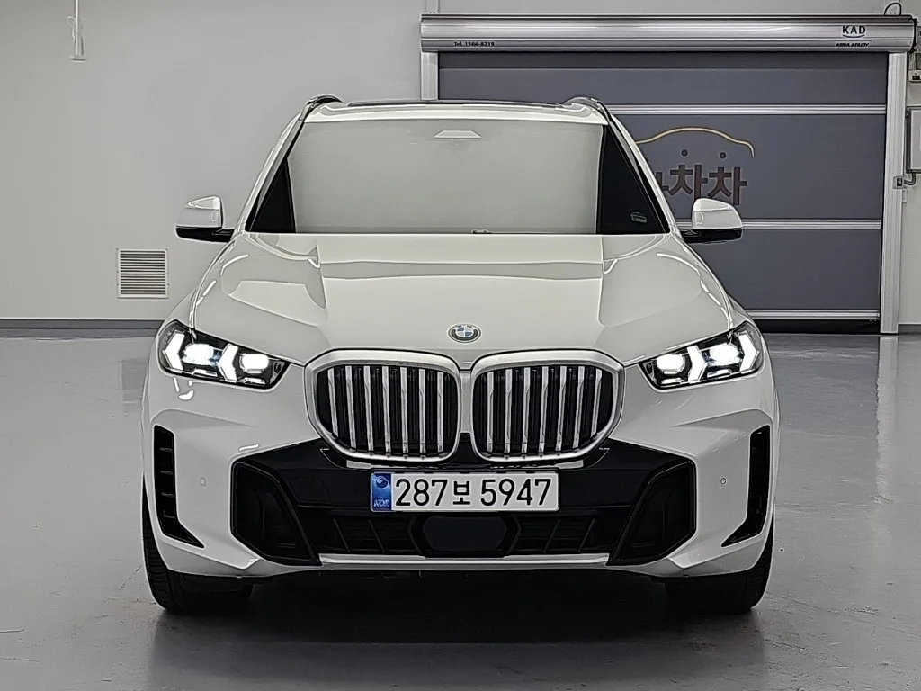 2025 BMW X5