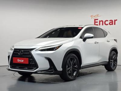 2025 Lexus NX