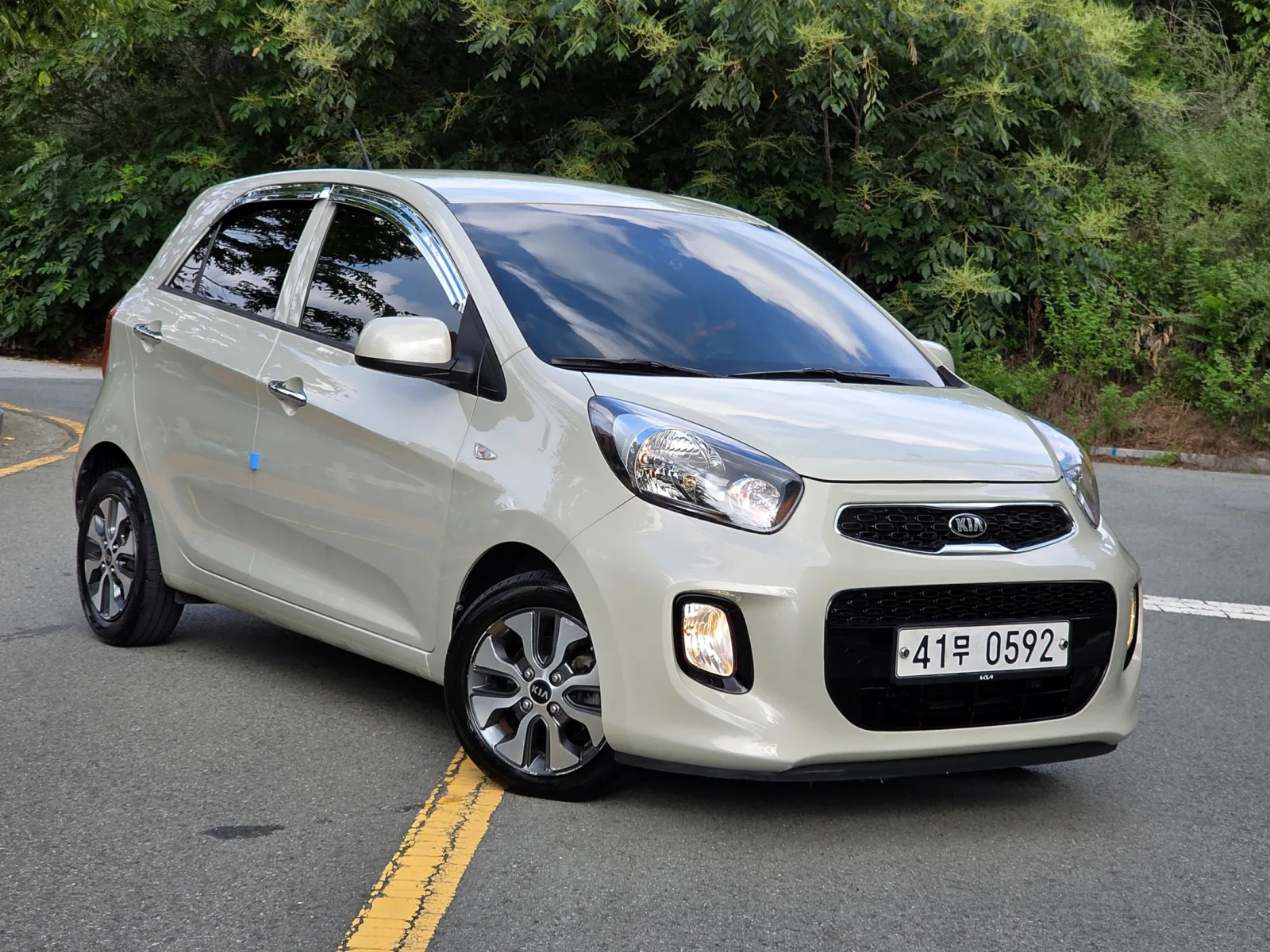 2016 Kia Picanto
