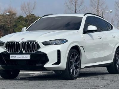 2024 BMW X6