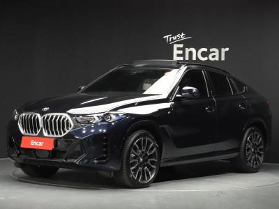 2025 BMW X6