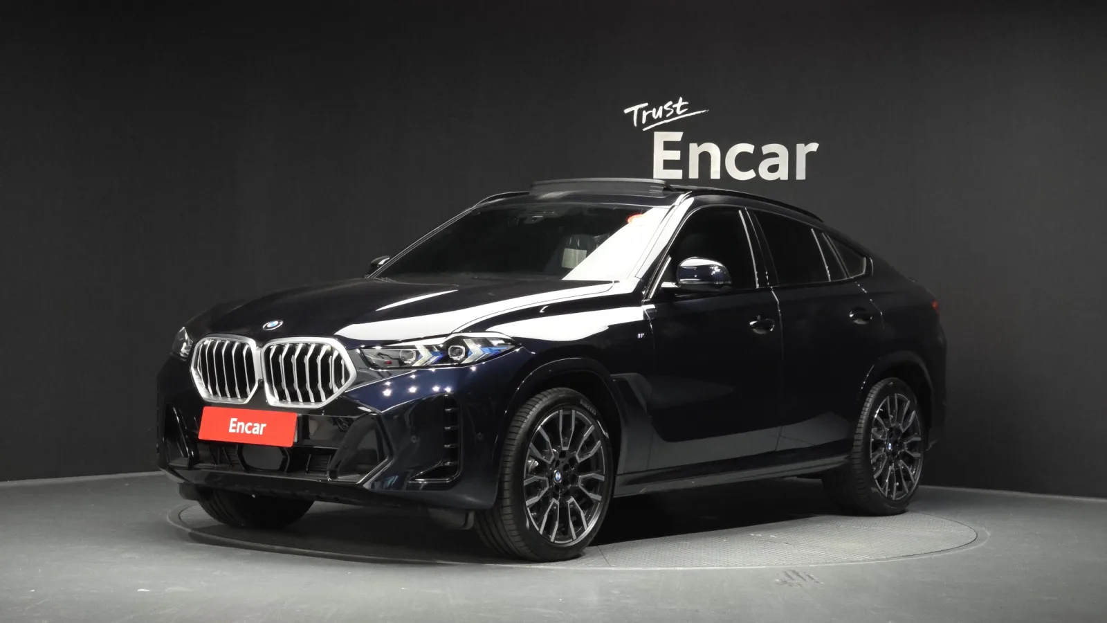 2025 BMW X6