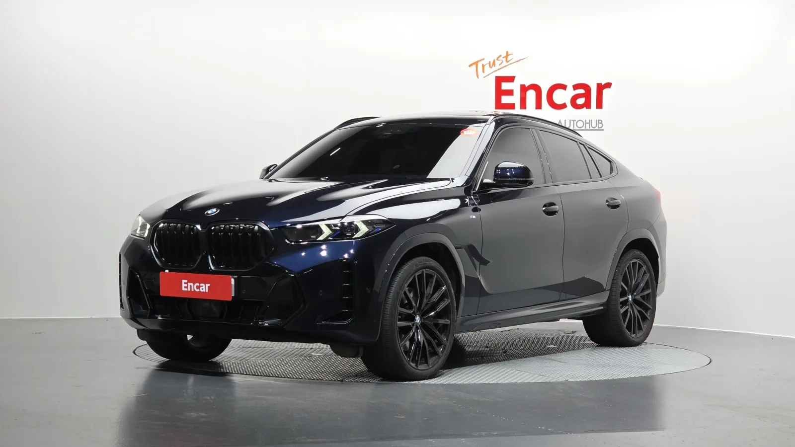 2025 BMW X6