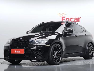 2009 BMW X6
