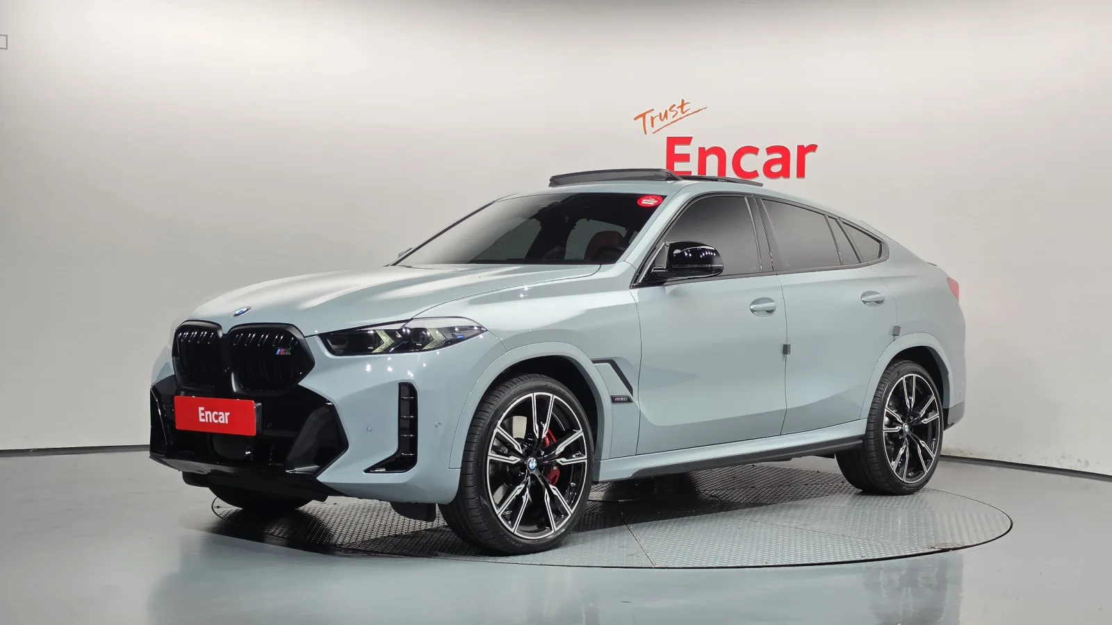 2024 BMW X6