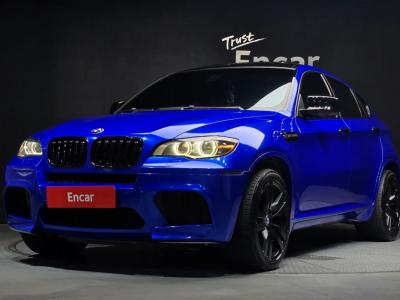2010 BMW X6M