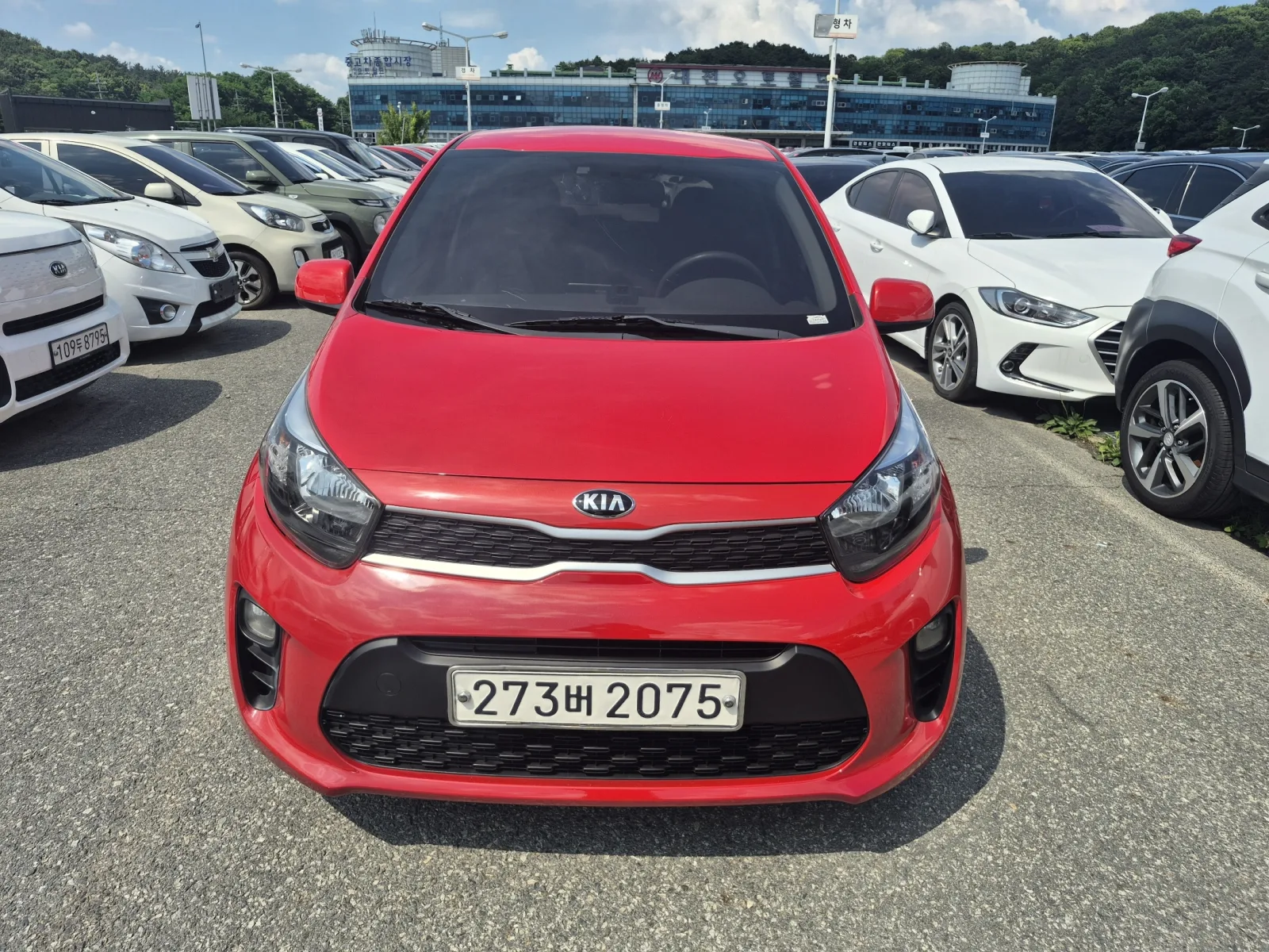 2017 Kia Picanto