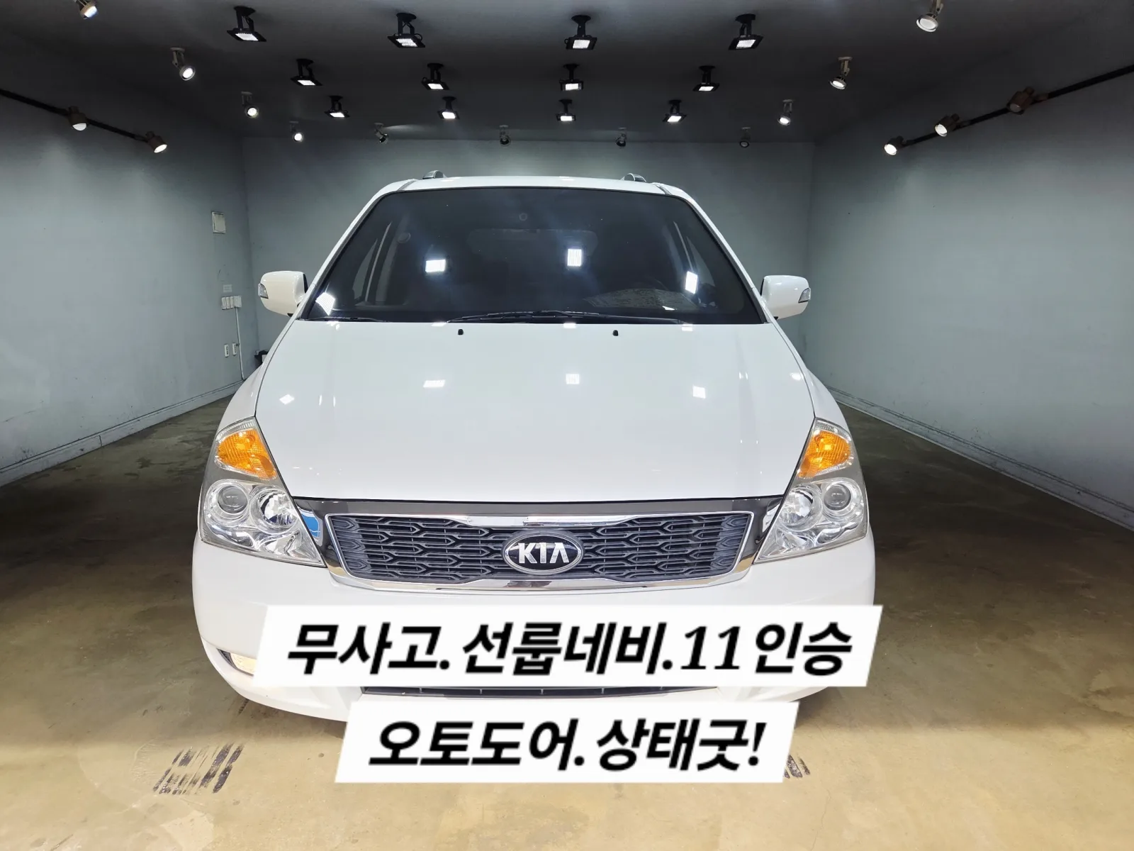 2013 Kia Carnival