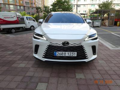 2025 Lexus RX